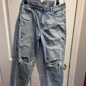 American Eagle Curvy Mom Jean Strigid